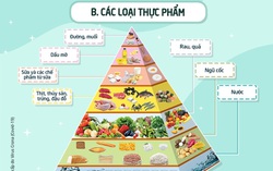 "Sổ tay Sức khỏe Covid-19" - Phần 3: Dinh dưỡng