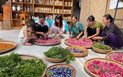 Cần có nền tảng công bằng trong việc tiếp cận hỗ trợ vốn cho phụ nữ khởi nghiệp kinh doanh  