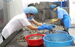Các chính sách hỗ trợ cho doanh nghiệp còn nhiều thủ tục phức tạp, khó tiếp cận 