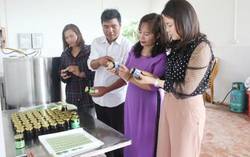 Nhiều mô hình kinh tế tập thể giúp phụ nữ "đổi đời"