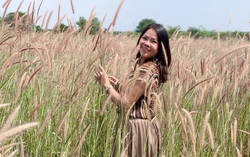Tháng 8 gọi tuổi thơ về trên triền đê ngập tràn hoa cỏ may 