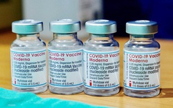 TPHCM phản hồi về việc mua 5 triệu liều vaccine Moderna