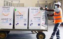 Các chuyên gia kêu gọi Mỹ mở kho dự trữ vaccine cho thế giới