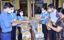 Hội LHPN Hưng Yên hỗ trợ tiêu thụ nhãn lồng cho người dân