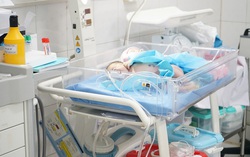 Tuyển TNV chăm trẻ sơ sinh có mẹ bị mắc Covid-19 