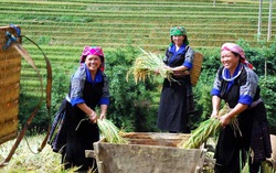 Phấn đấu giảm mỗi năm 3% số hộ nghèo dân tộc thiểu số