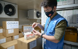 Thêm gần 1,2 triệu liều vaccine AstraZeneca về Việt Nam
