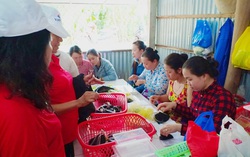 Sóc Trăng: Tích cực hỗ trợ phụ nữ khởi nghiệp