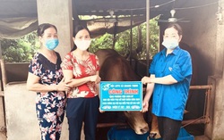 Các cấp Hội ở Bắc Giang chăm lo cho hội viên, phục hồi kinh tế trong tình hình mới