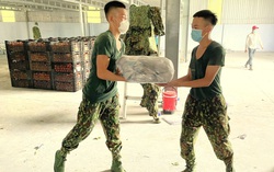 Bình Dương: Phát lương thực, thực phẩm cả ngày lẫn đêm cho người dân khu “khóa chặt, đông cứng” 
