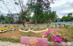 Biến đất hoang thành đường hoa và công viên mini