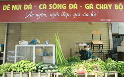 Xoay xở mùa dịch: Chủ quán phở, shop thời trang đi bán rau
