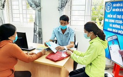 Hướng dẫn đăng ký nhận lương hưu qua ứng dụng VssID