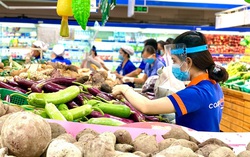 Hội viên, phụ nữ TPHCM sẽ tham gia bán thực phẩm thiết yếu
