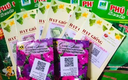 Giãn cách, "nông dân" phố thị khổ vì mua phải hạt giống rởm