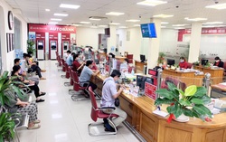 6 tháng đầu năm 2021: Agribank hoạt động an toàn, hiệu quả, tích cực hỗ trợ khách hàng và nền kinh tế