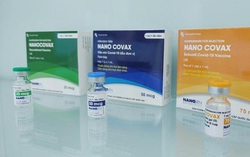 2 tỉnh xin tiêm thử nghiệm vaccine Nano Covax, Bộ Y tế nói gì?