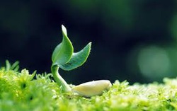 Học cách điềm tĩnh để cán đích tốt hơn