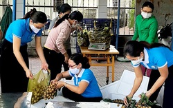Hội LHPN thị xã Đức Phổ giải cứu hơn 1,7 tấn nhãn cho nông dân Đồng Tháp