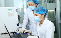 Hà Nam ghi nhận 3 ca nhiễm Covid-19