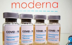 Nhóm luật sư kiều bào Mỹ muốn tặng TPHCM 50.000 lọ vaccine Moderna