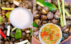 Luộc ốc, mẹ đảm mách cho thêm một thìa này ốc thơm nức không hề còn mùi tanh