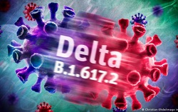 WHO: 3 môi trường khiến biến thể Delta lây lan nhanh chóng