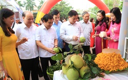 Phát huy truyền thống vẻ vang của phụ nữ Thái Bình