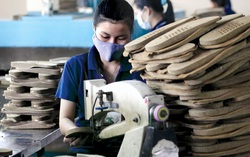 Dự kiến khoảng 1,4 triệu hộ kinh doanh, cá nhân hưởng chính sách miễn giảm thuế