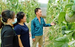 Tín dụng chính sách giúp bà con vùng cao Bắc Kạn vượt nghèo