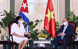 Chủ tịch nước Nguyễn Xuân Phúc tiếp các tổ chức hữu nghị Cuba-Việt Nam