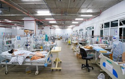 Bộ Y tế ghi nhận 13.197 ca nhiễm mới và 271 bệnh nhân Covid-19 tử vong