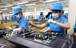 Số doanh nghiệp thành lập mới trong tháng 8/2021 giảm 57%