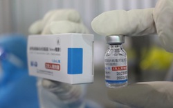TPHCM: Hơn 1,5 triệu người được tiêm vaccine Vero Cell đều an toàn