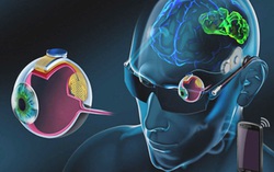 Thị giác sinh học giúp người mù nhìn được