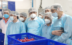 Doanh nghiệp tại TPHCM cam kết bình ổn giá khi thị trường khi có biến động dịp Tết