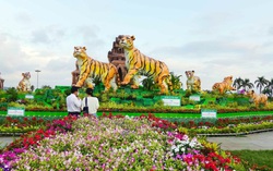 "Gia đình hổ" sum vầy đón xuân Nhâm Dần 2022 ở đất võ Bình Định