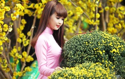Một bước tới mùa xuân