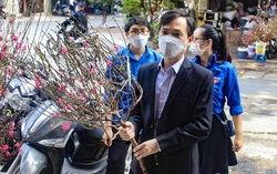 Mang cành đào Tết tặng F0 cách ly tại nhà