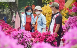 Chợ hoa tại TPHCM bắt đầu nhộn nhịp, giá giảm