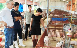 Doanh nhân nữ đón đầu xu hướng kinh tế tuần hoàn