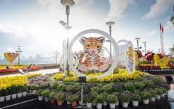 Hạnh phúc trở lại trong sáng mùng 1