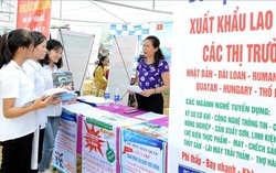 Khoảng trống định hướng về bình đẳng giới, bạo lực giới cho người đi làm việc ở nước ngoài
