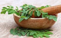 Chùm ngây - Loại rau mẹ bầu tuyệt đối không nên ăn