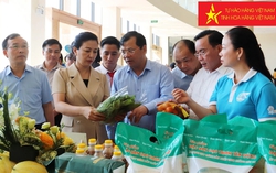 Bắc Giang: Tháng cao điểm thực hiện Cuộc vận động "Người Việt Nam ưu tiên dùng hàng Việt Nam"