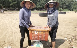 Dầm mình vớt ruốc sau mưa lũ, ngư dân kiếm tiền triệu mỗi ngày