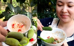 Thứ quả xưa rụng đầy không ai nhặt, giờ lại thành đặc sản "hot" trên mạng