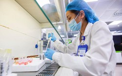 Chuyên gia chia sẻ về vai trò của xét nghiệm ở mỗi giai đoạn trong cuộc đời
