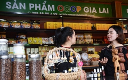 Livestream giới thiệu sản phẩm OCOP của hội viên phụ nữ dân tộc thiểu số