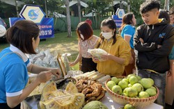 22 ý tưởng khởi nghiệp của phụ nữ Kon Tum được cam kết hỗ trợ vốn hơn 5 tỷ đồng